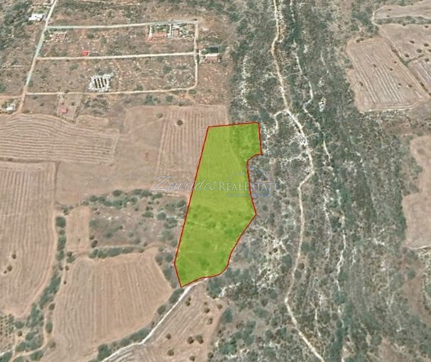 Field in Agios Theodoros