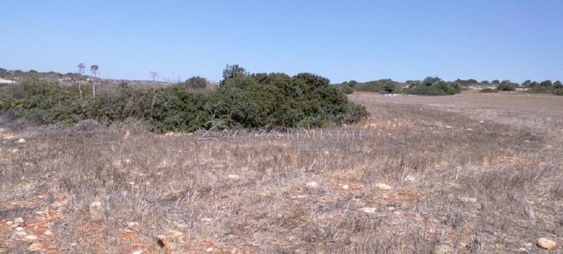 Field in Agios Theodoros
