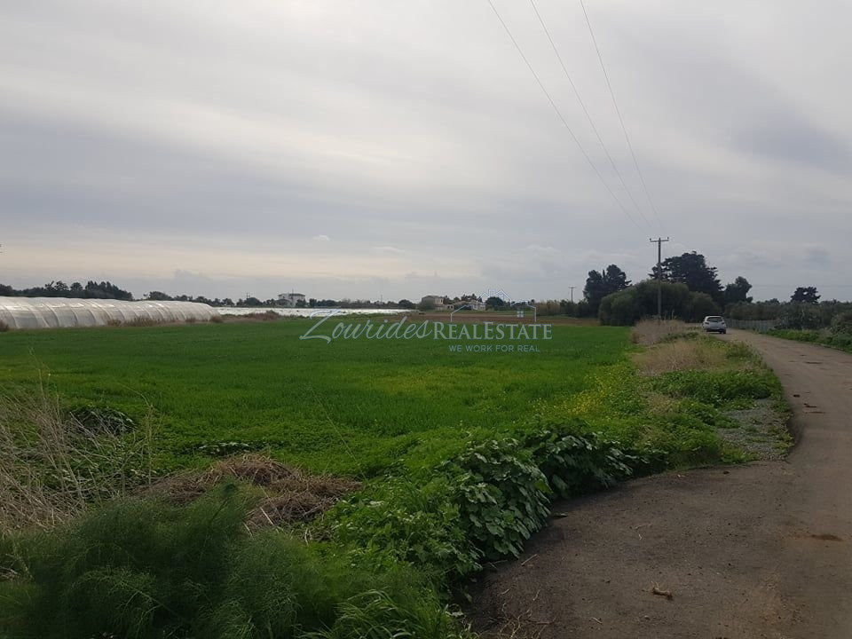 Field in Maroni