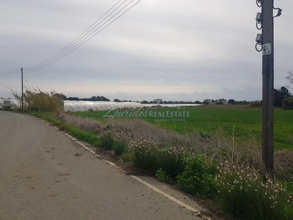 Field in Maroni
