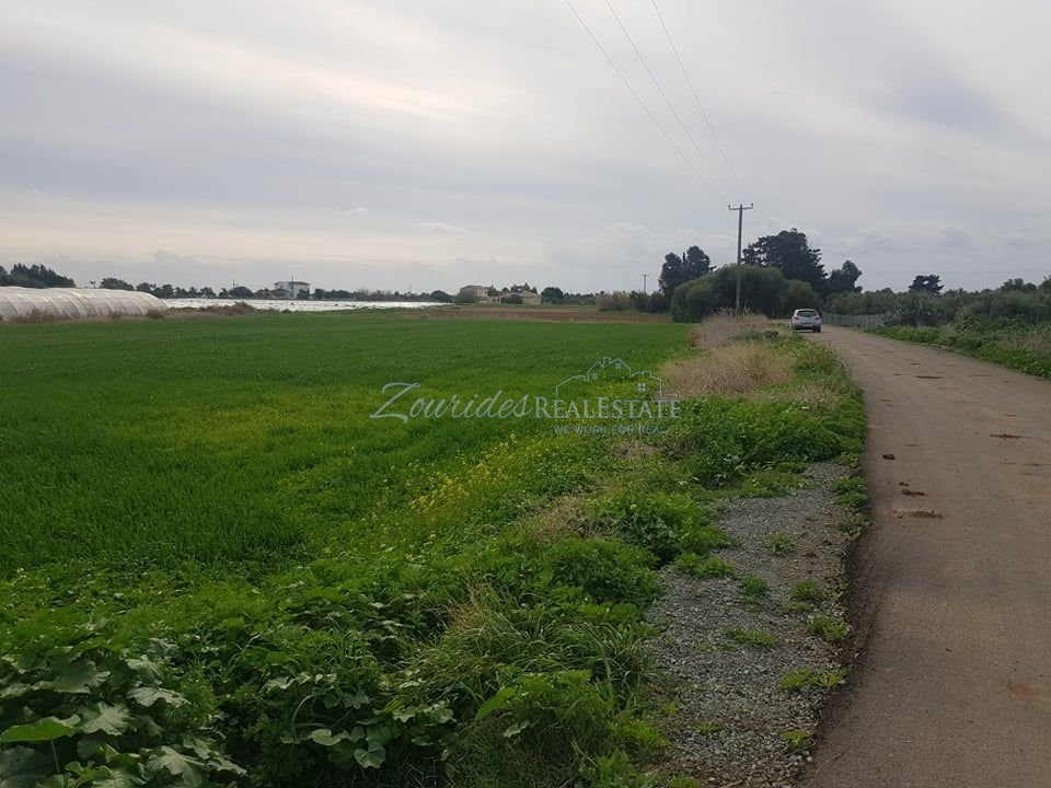 Field in Maroni