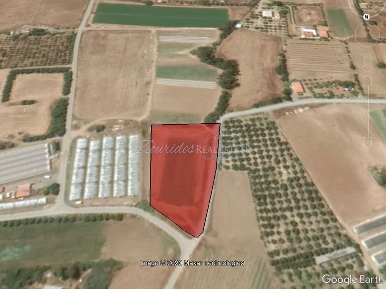 Field in Maroni