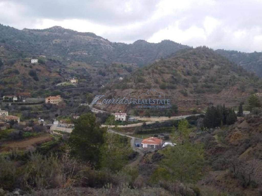 Οικιστικό χωράφι στους Αγίους Βατσινιάς