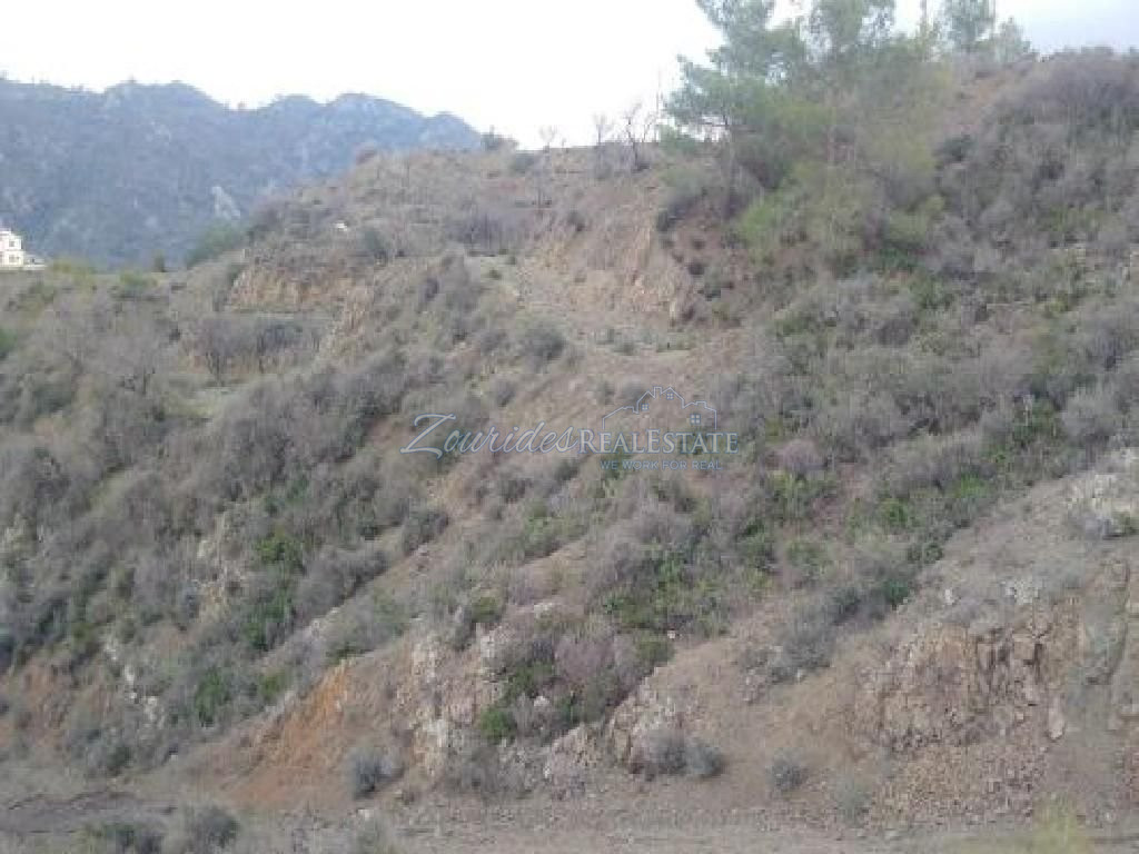 Οικιστικό χωράφι στους Αγίους Βατσινιάς