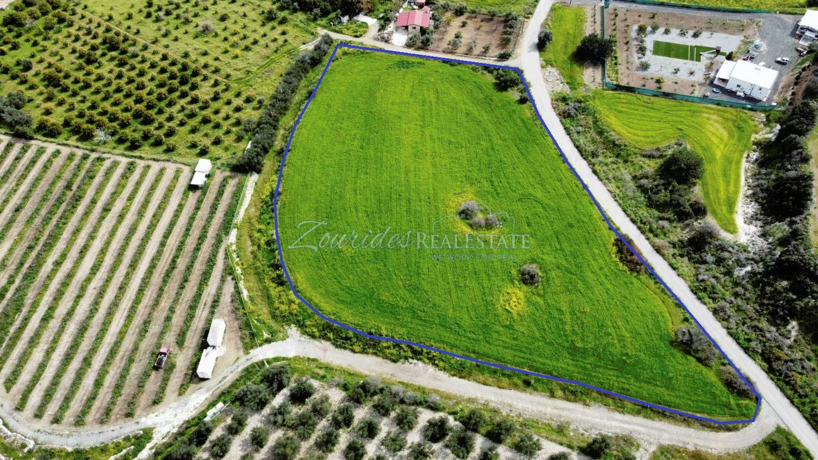 Field in Skarinou (Dipotamos)