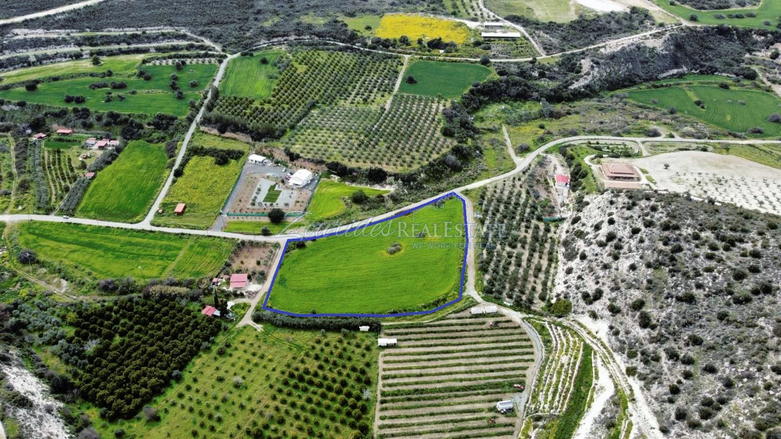 Field in Skarinou (Dipotamos)