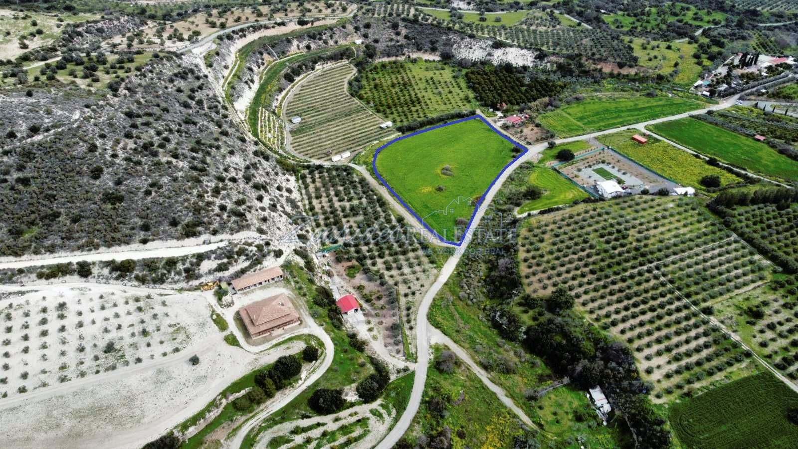 Field in Skarinou (Dipotamos)