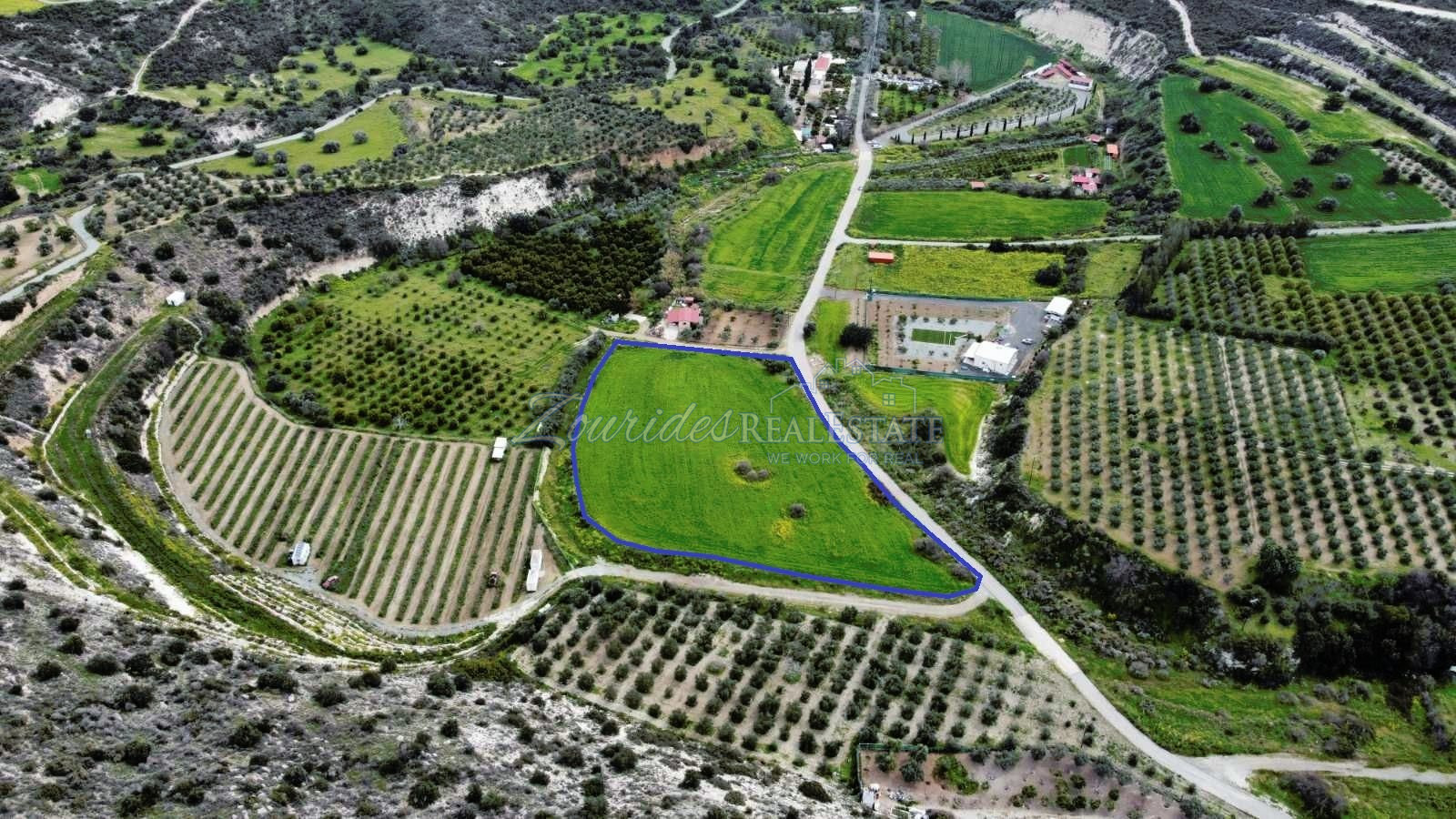 Field in Skarinou (Dipotamos)