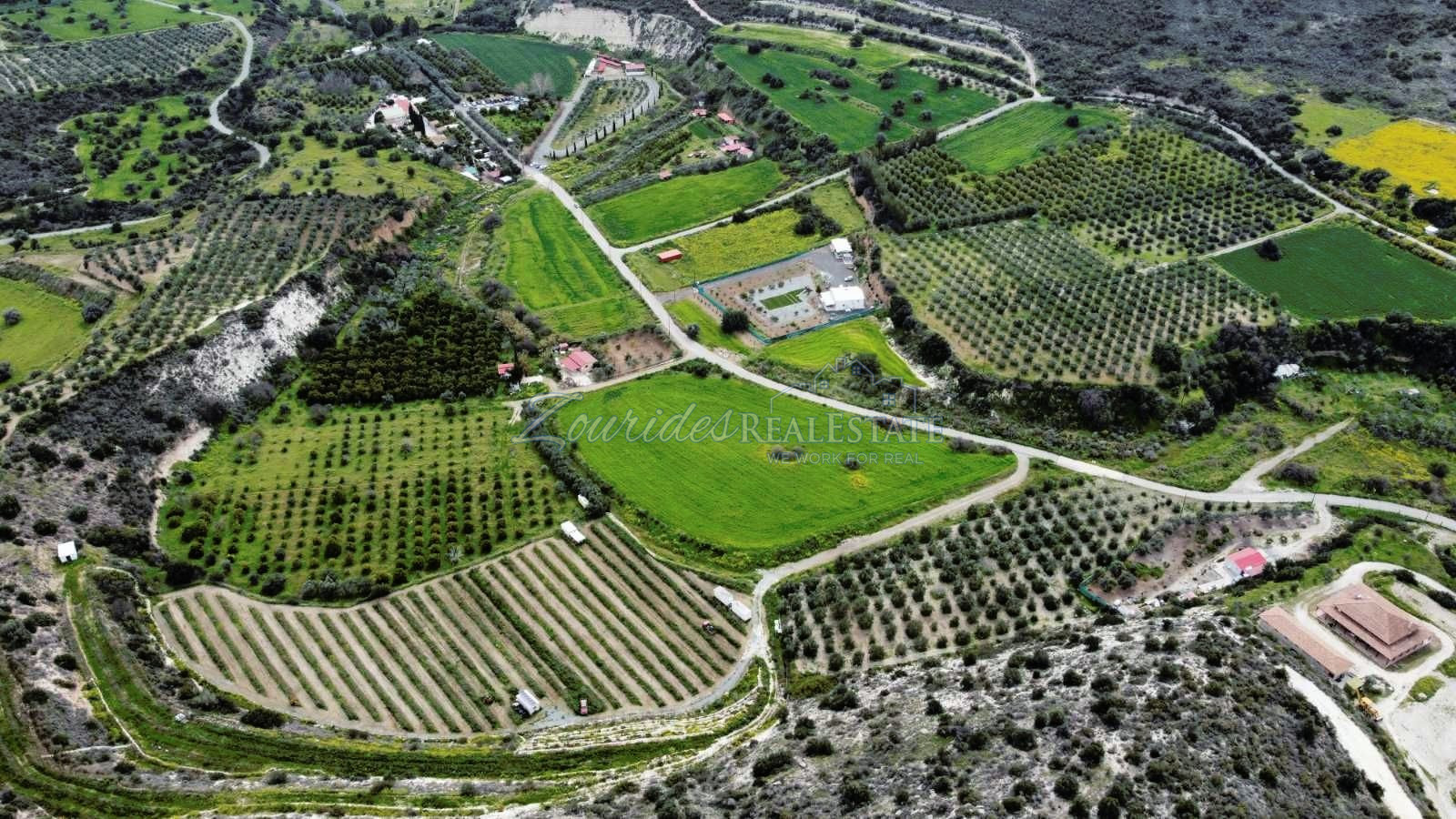 Field in Skarinou (Dipotamos)