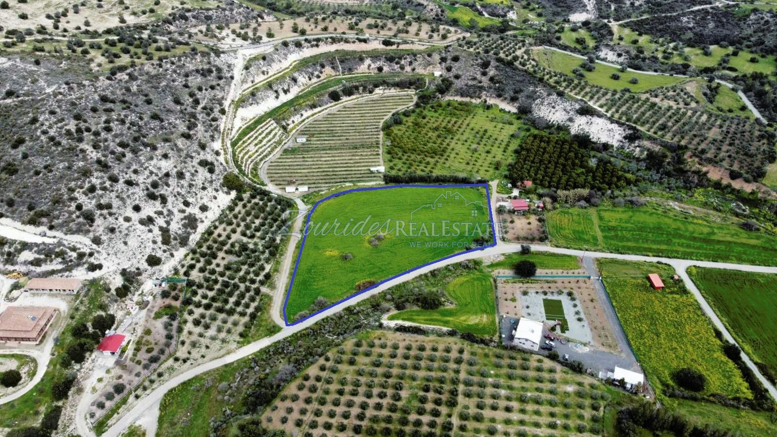 Field in Skarinou (Dipotamos)
