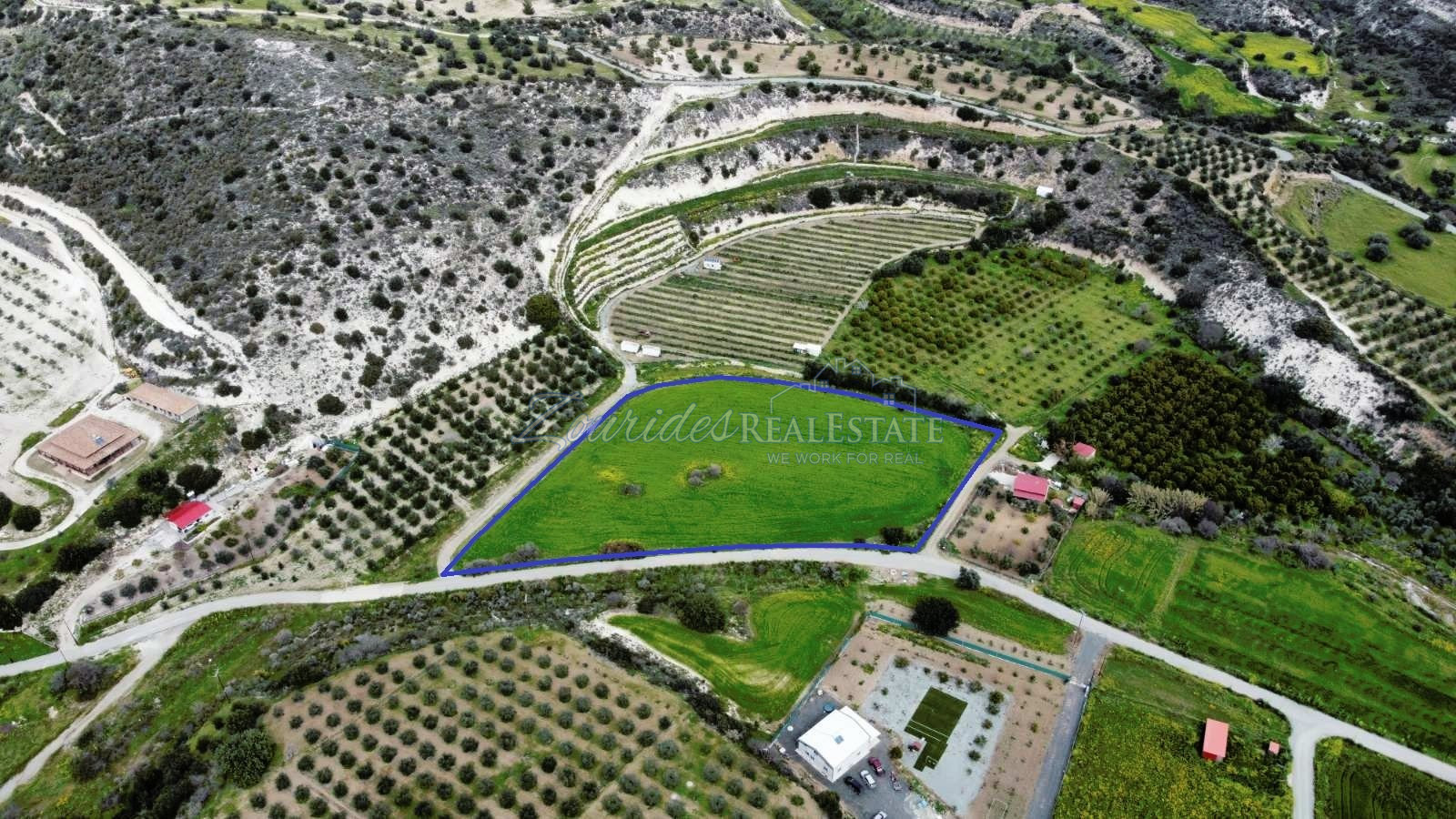 Field in Skarinou (Dipotamos)
