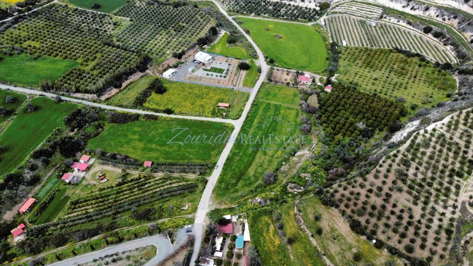 Field in Skarinou (Dipotamos)