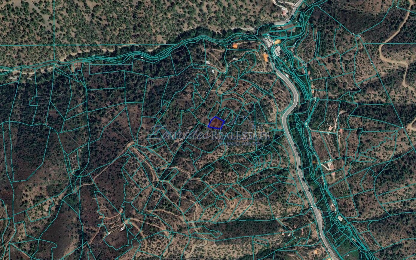 Field For Sale in Kalopanagiotis