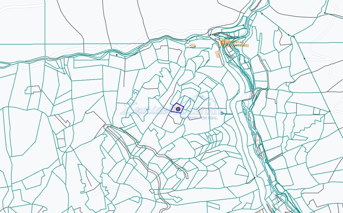Field For Sale in Kalopanagiotis