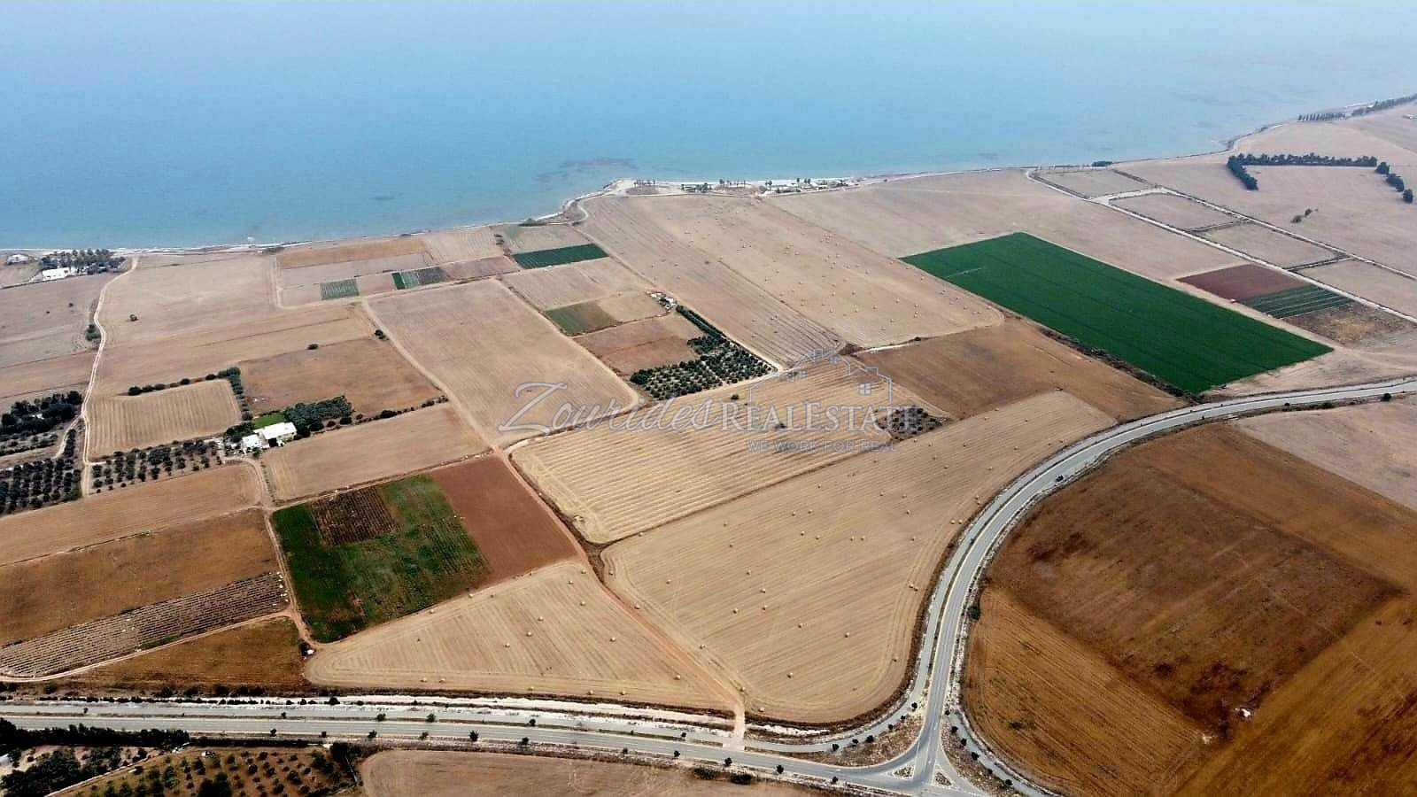 Land in Softades