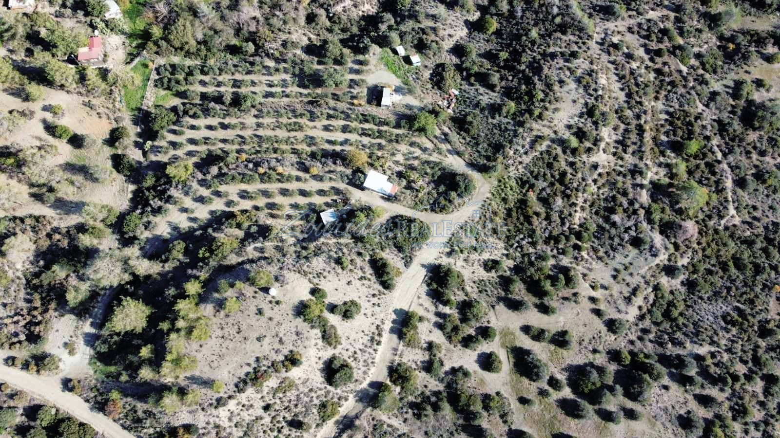 Field in Ora, Larnaca