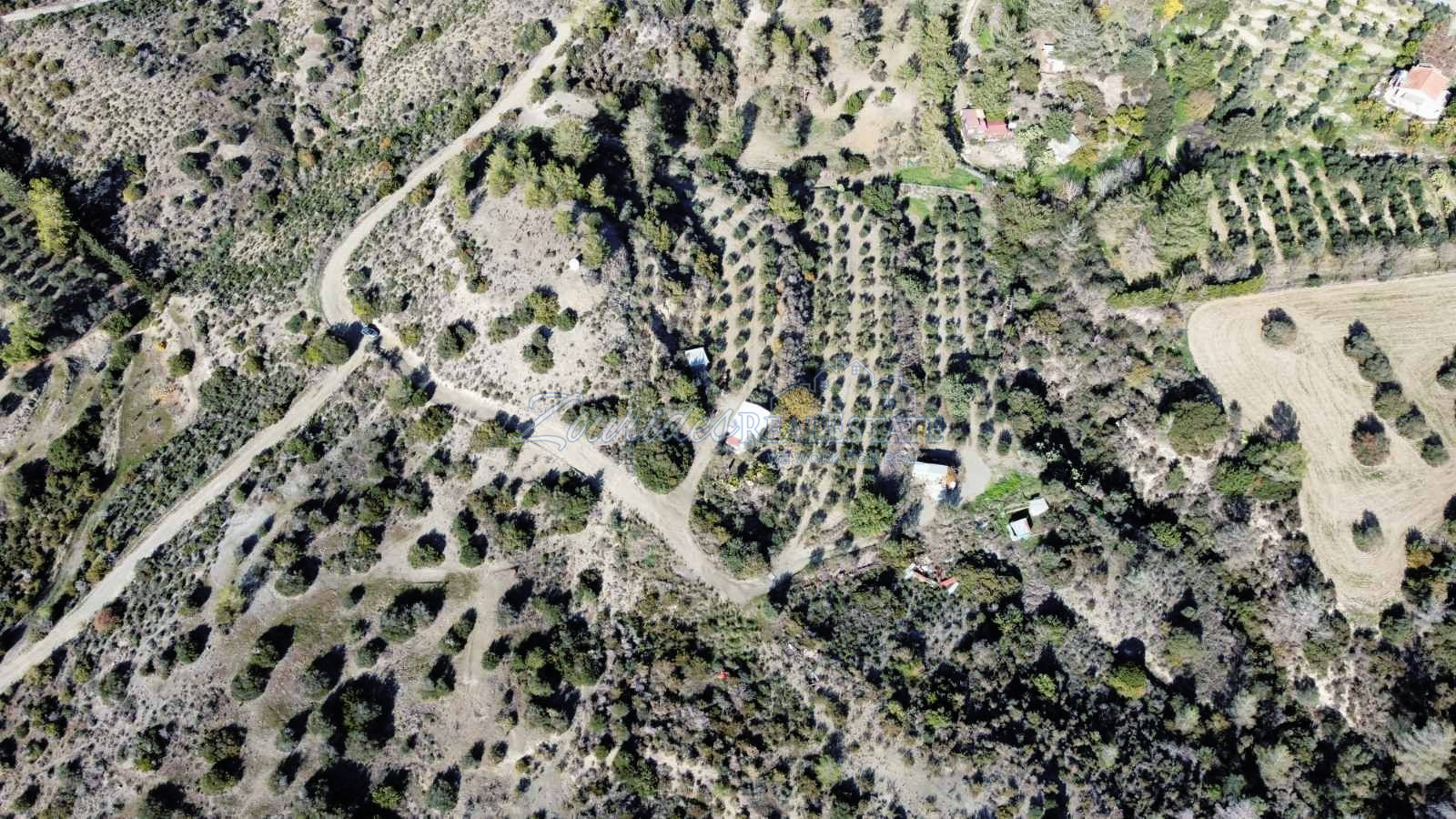 Field in Ora, Larnaca