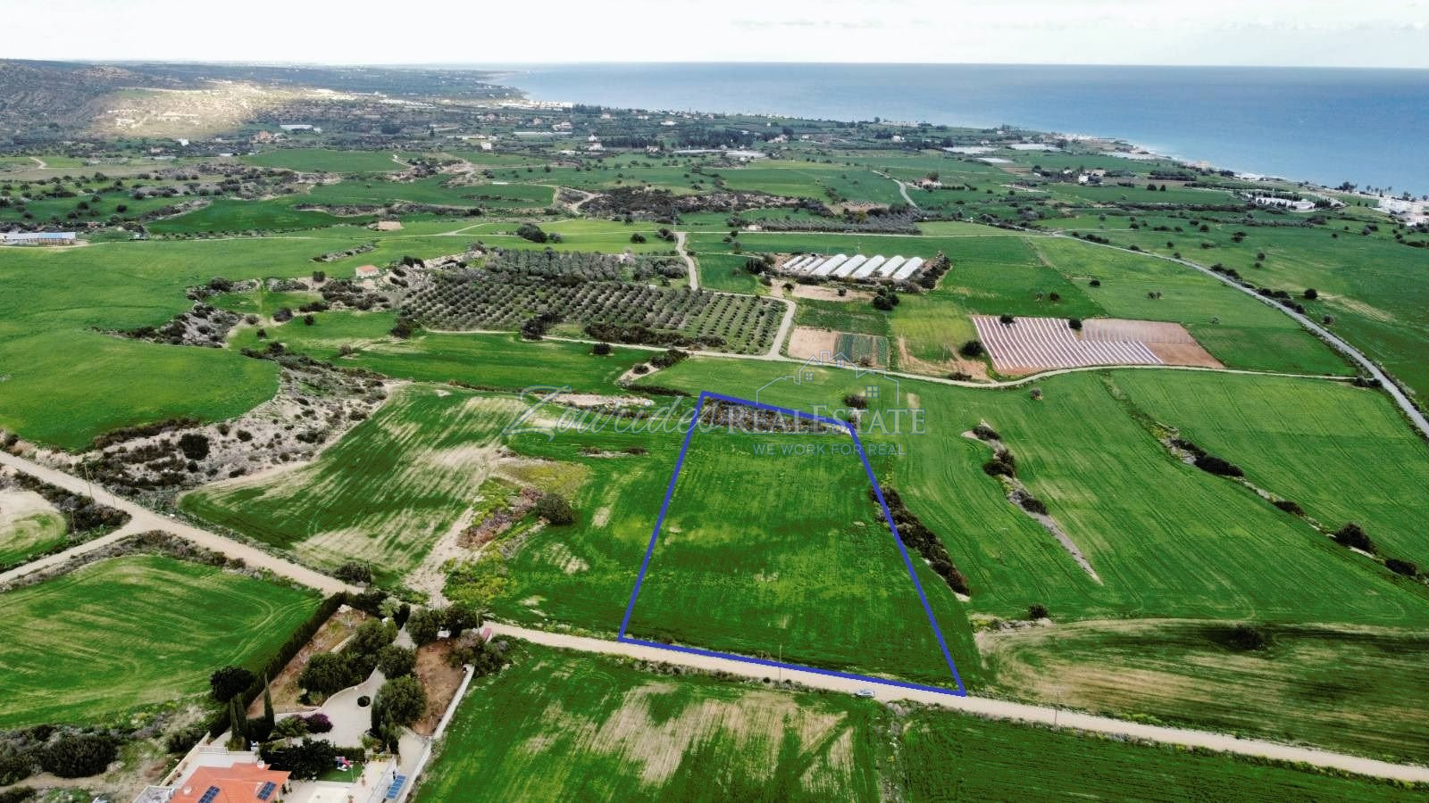Agriculture field in Agio Theodoro