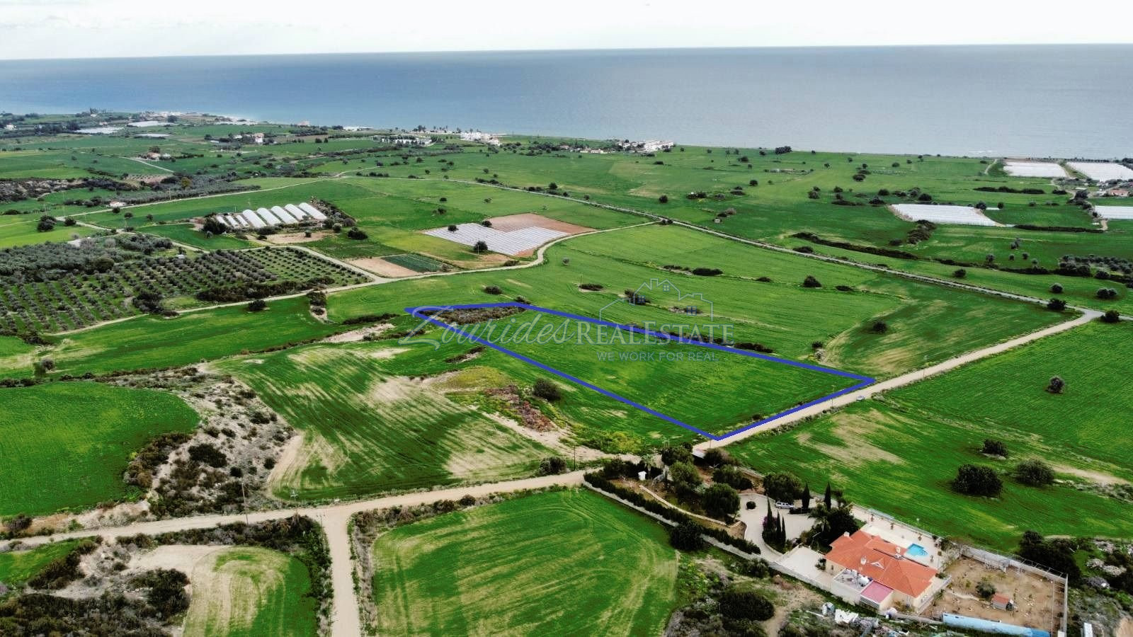 Agriculture field in Agio Theodoro