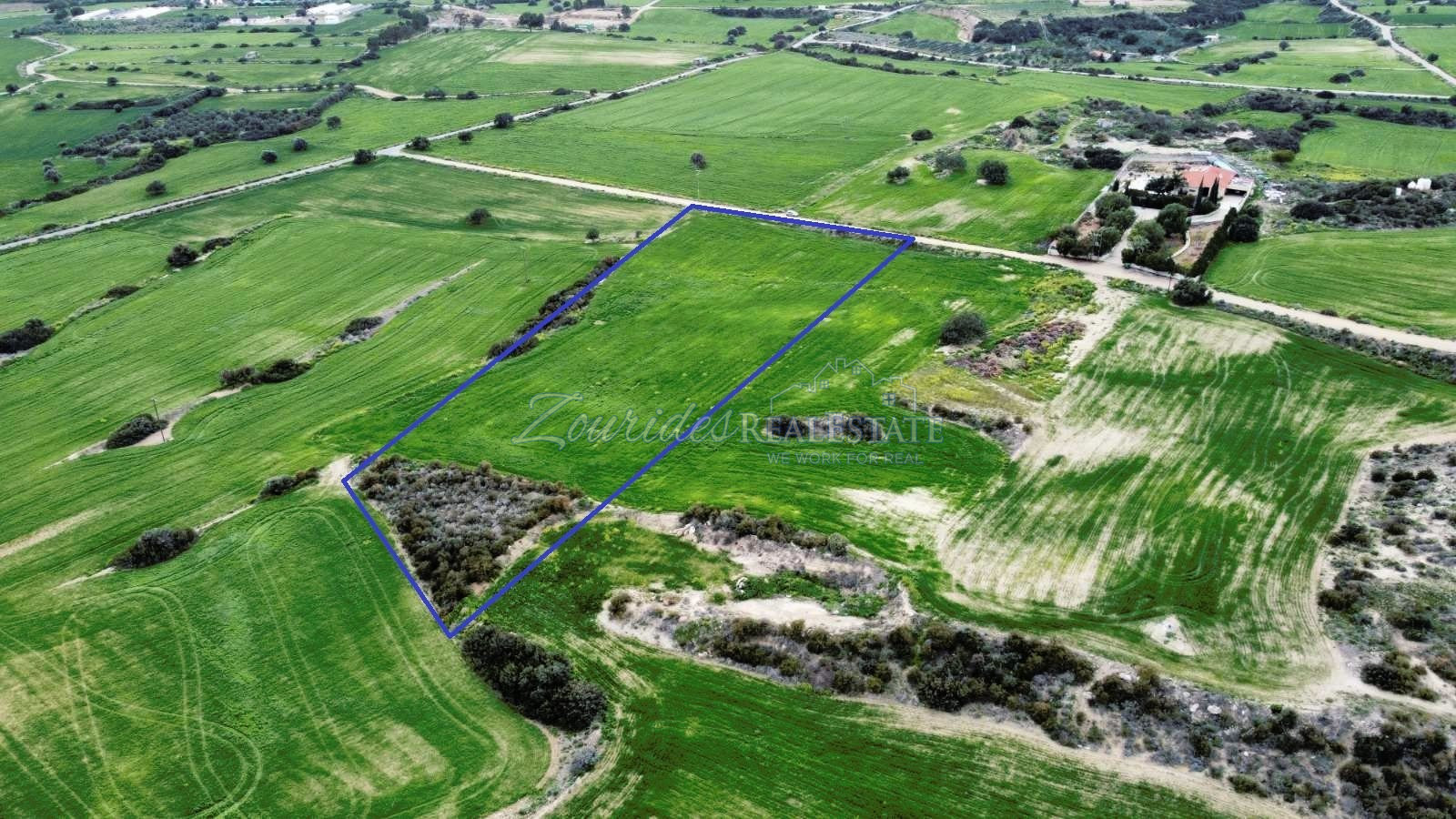 Agriculture field in Agio Theodoro
