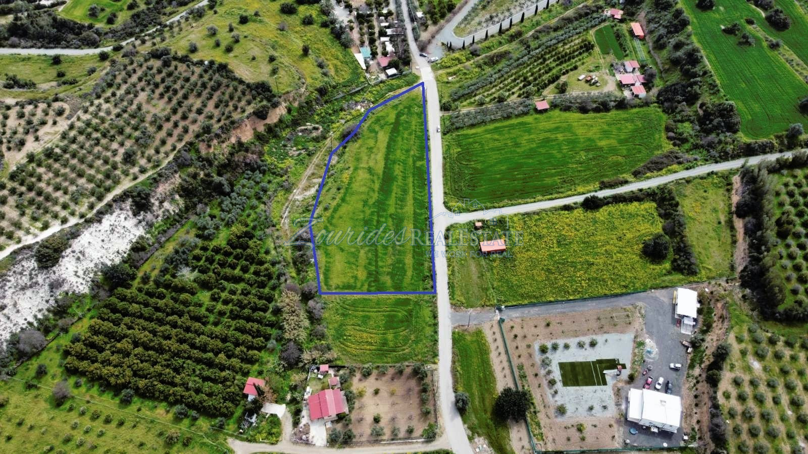 Agriculture Land in Skarinou