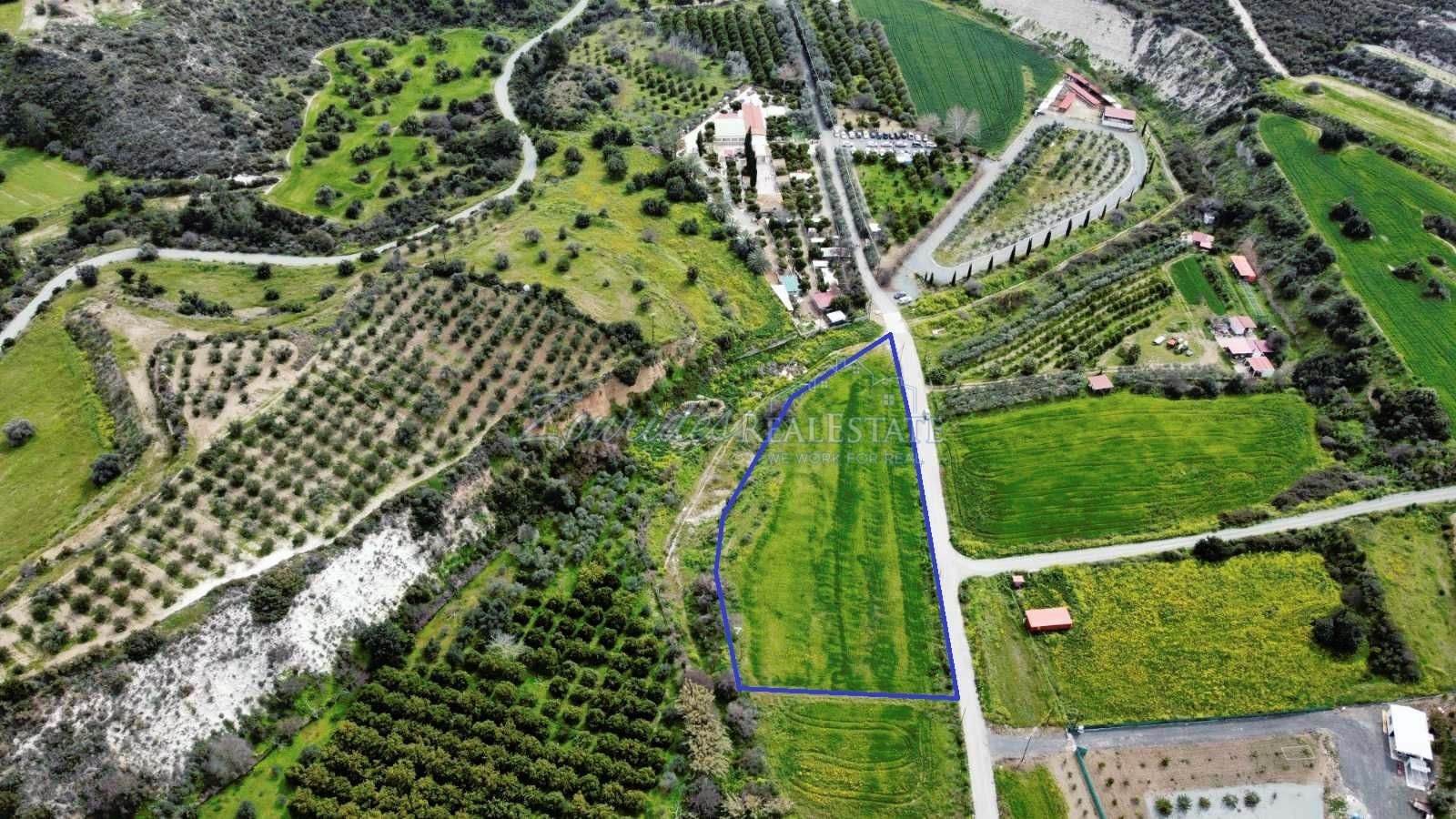 Agriculture Land in Skarinou