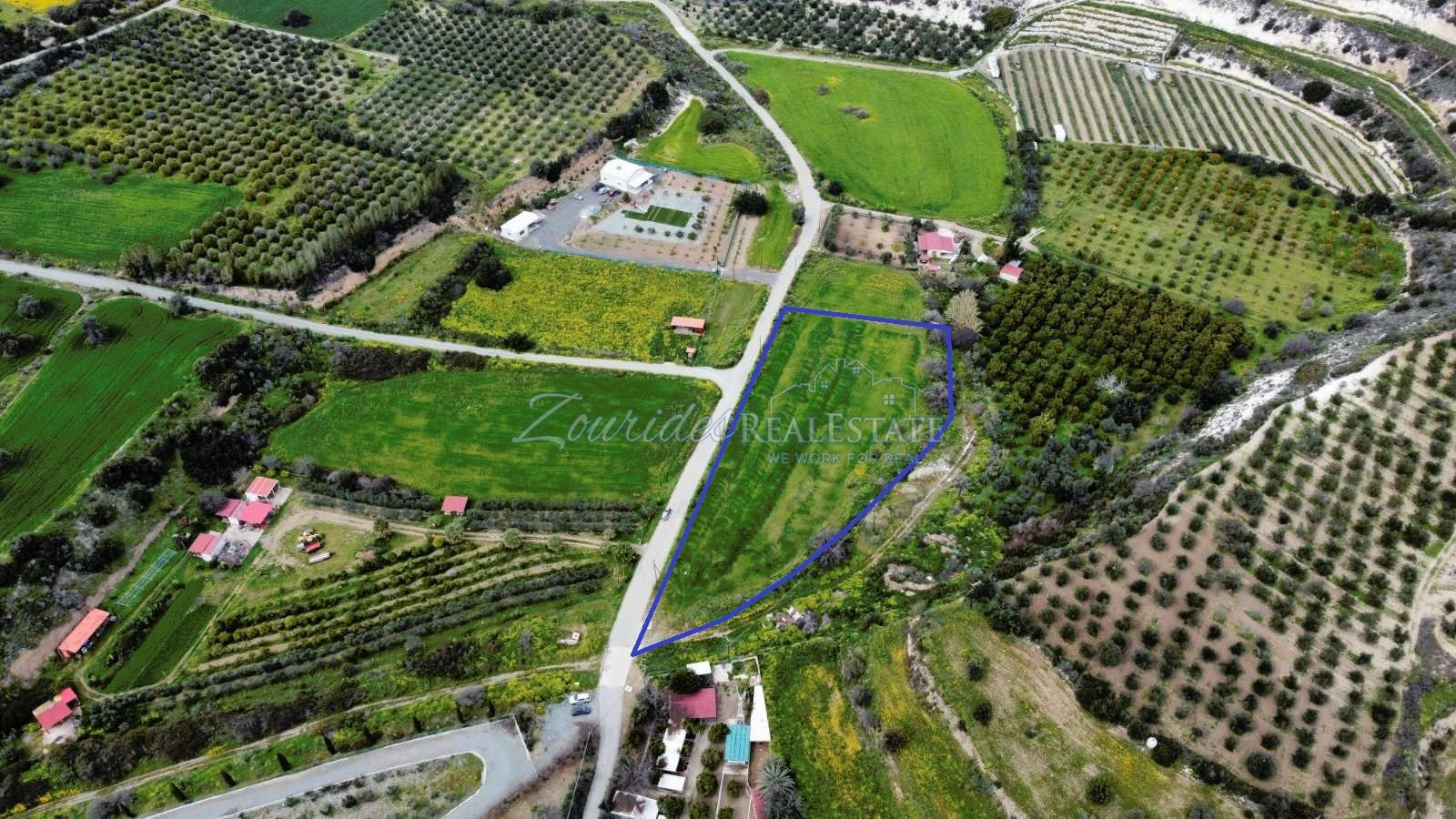 Agriculture Land in Skarinou