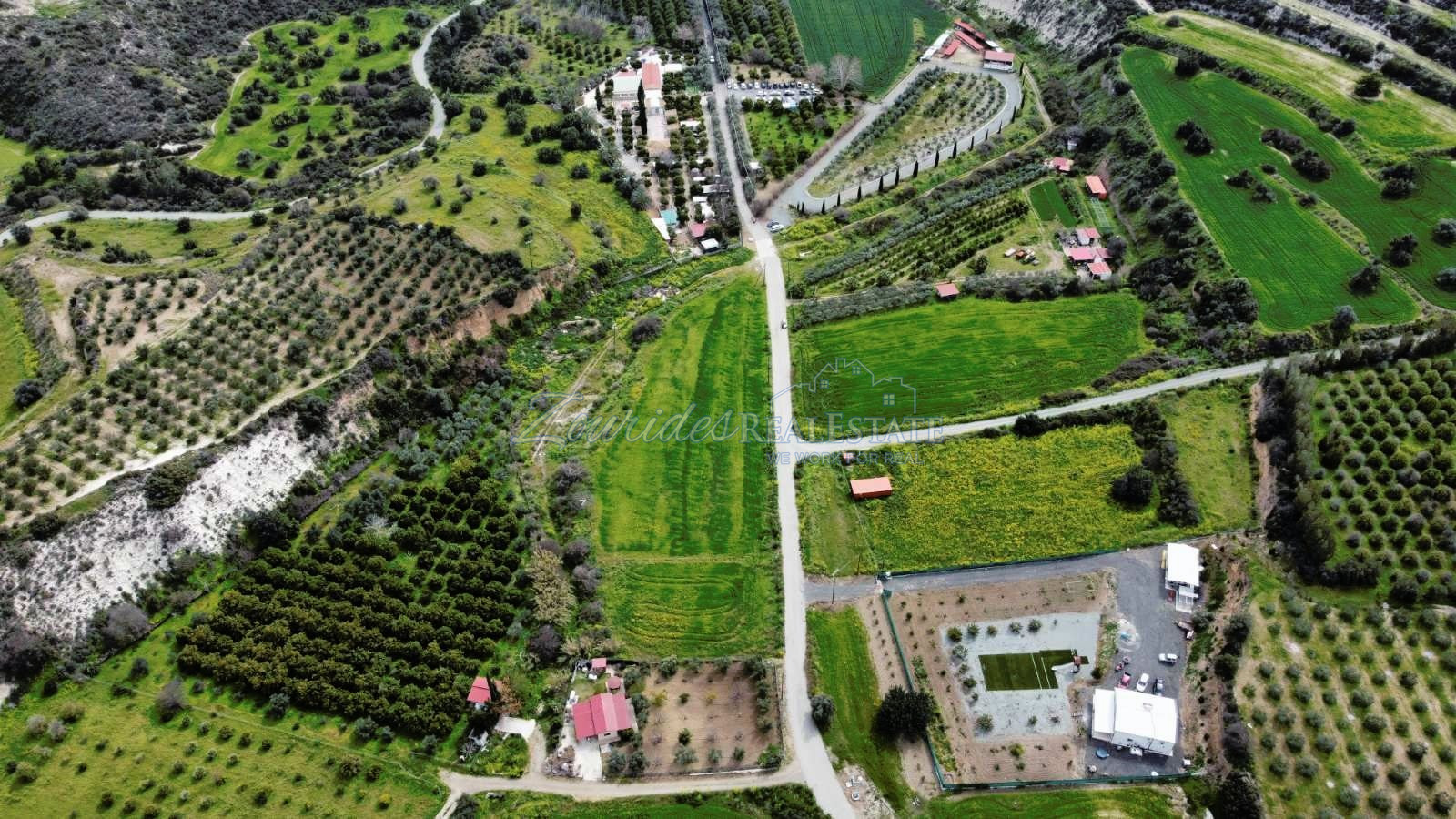 Agriculture Land in Skarinou