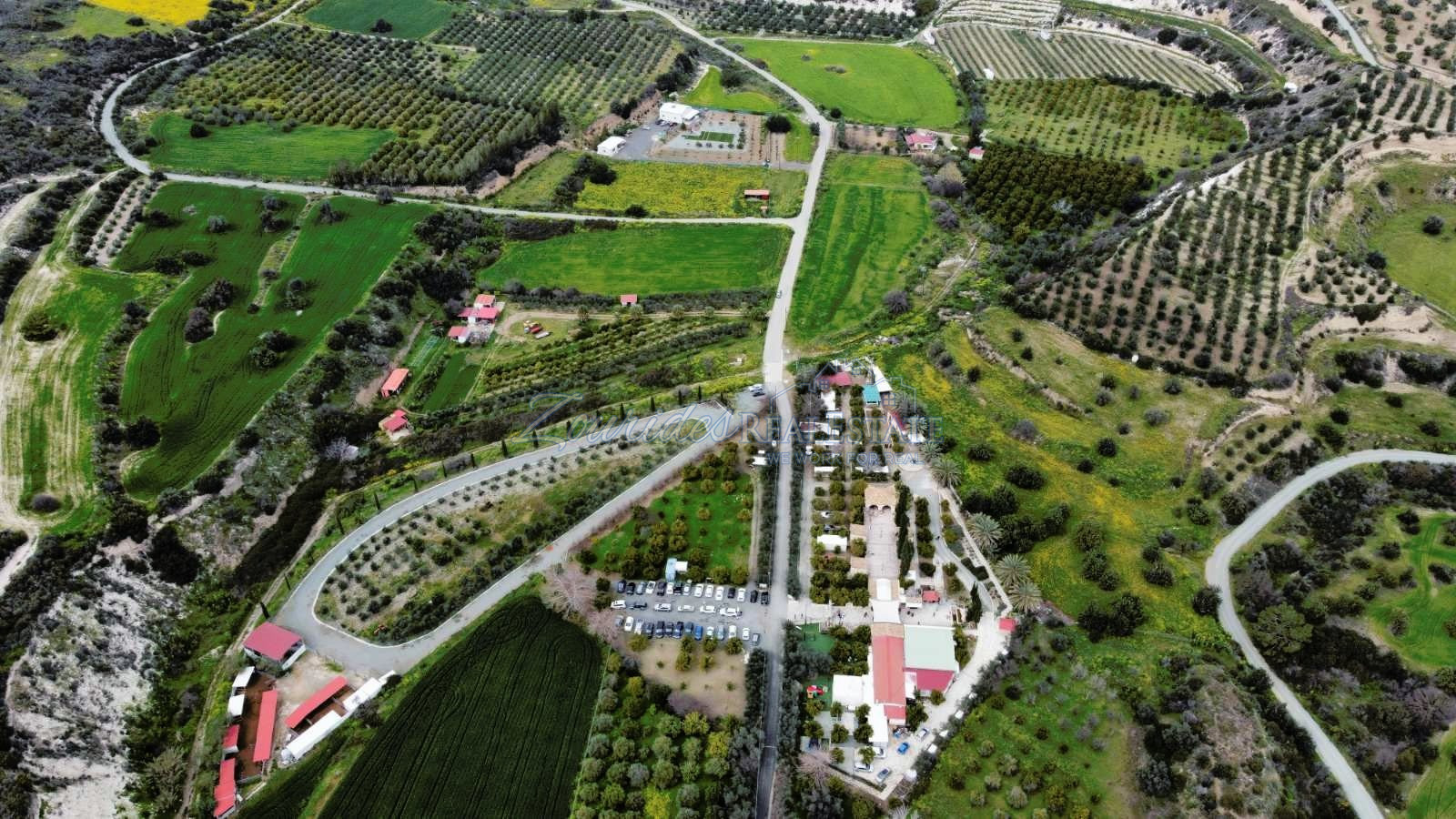 Agriculture Land in Skarinou