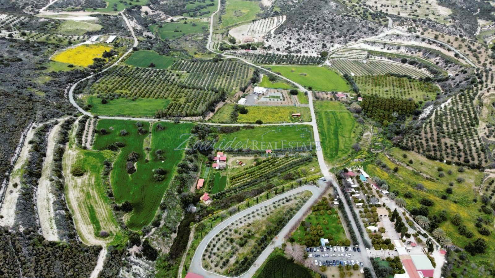 Agriculture Land in Skarinou