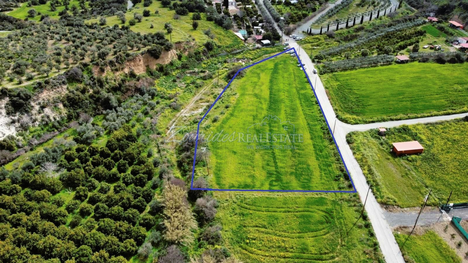 Agriculture Land in Skarinou
