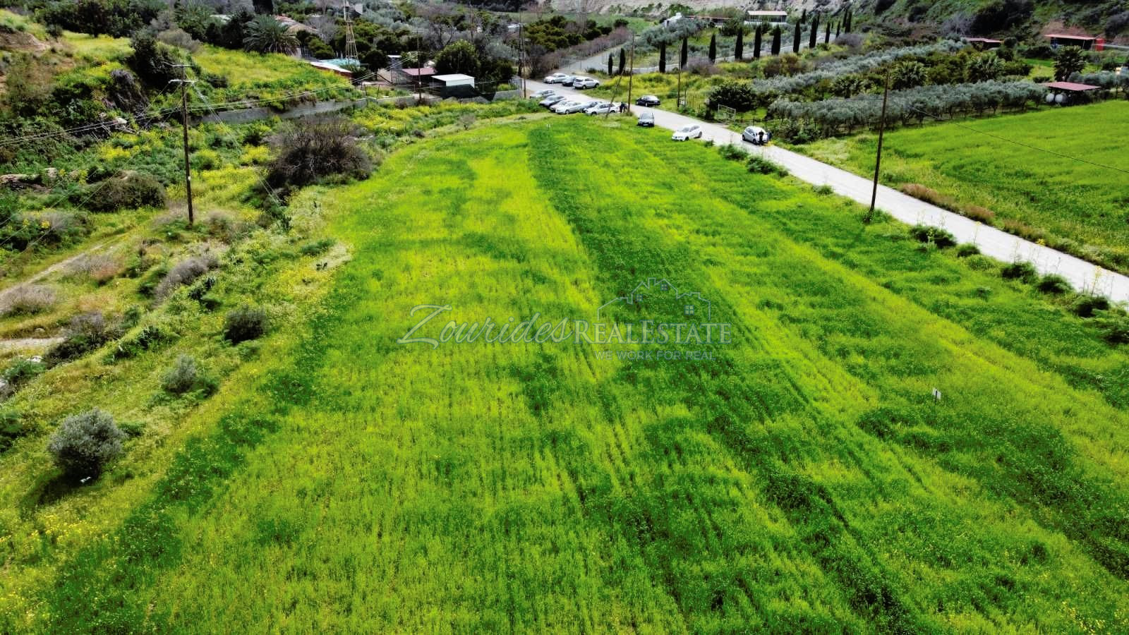 Agriculture Land in Skarinou