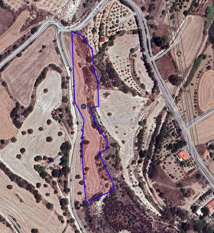 Field in Kalavasos area