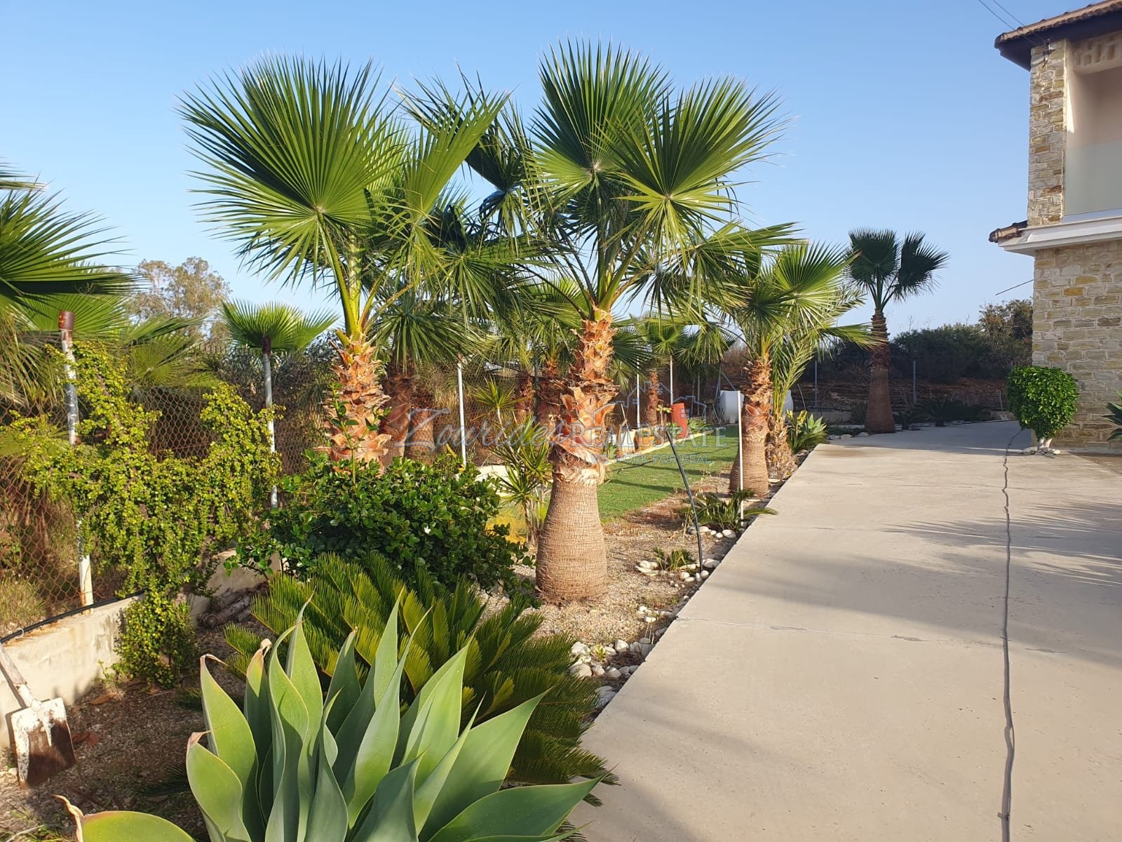 Looking for relaxation!