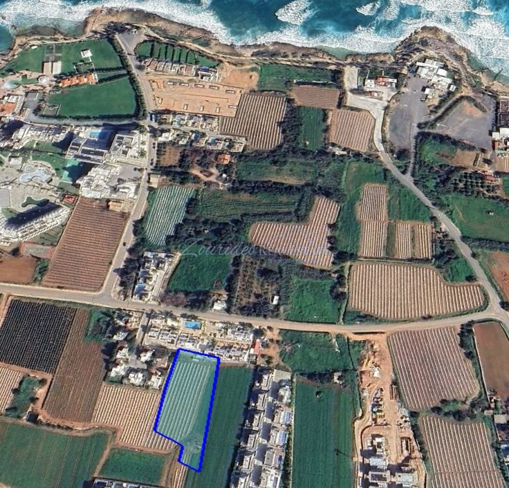 Large Field in Scenic Derynia Area