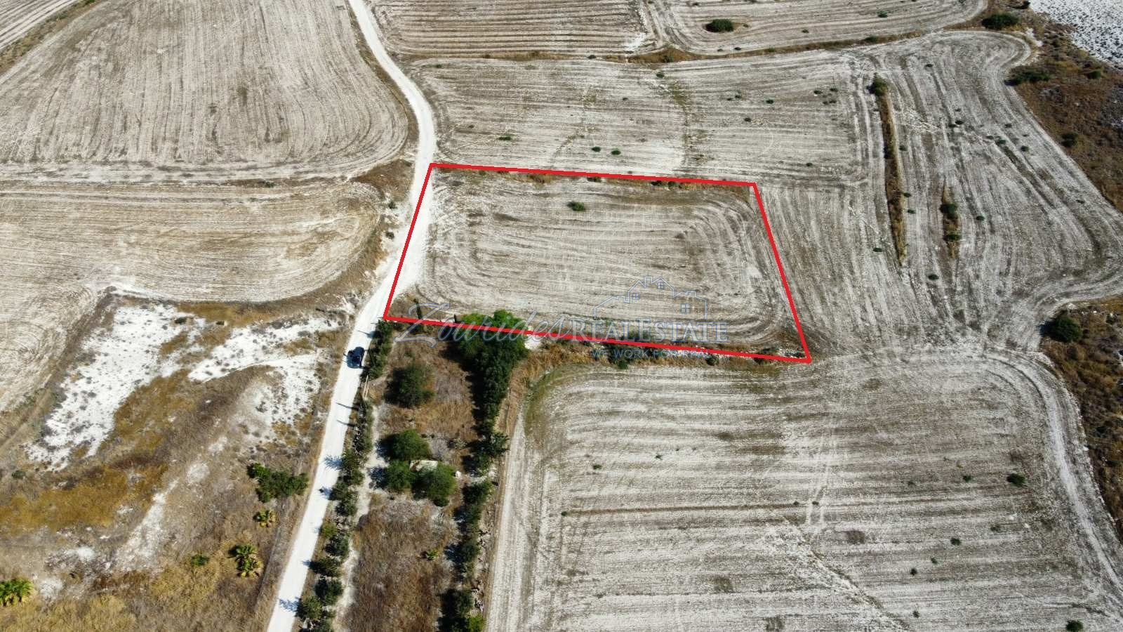 Agriculture land in Aradippou
