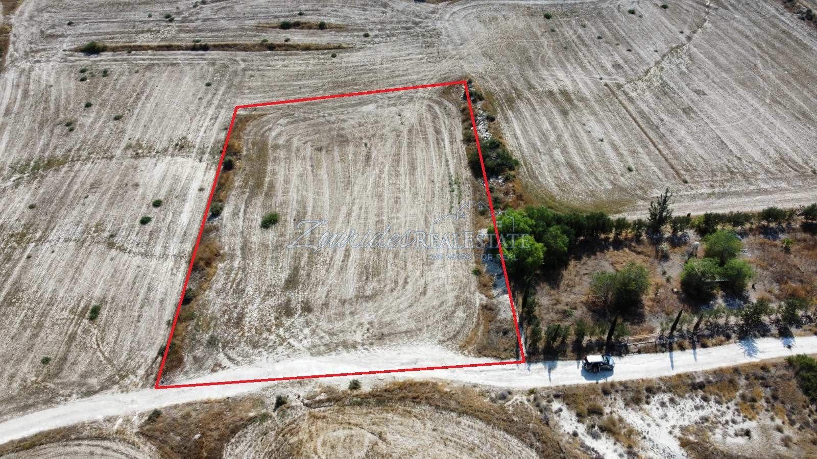 Agriculture land in Aradippou