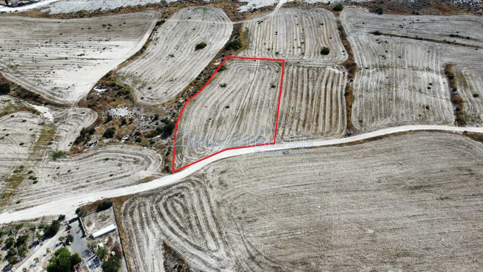 Agriculture land in Larnaca