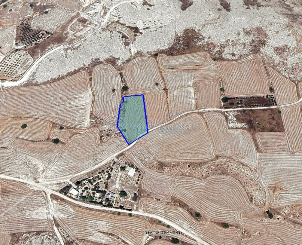 Agriculture land in Larnaca