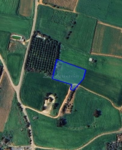 Large Building Plot For Sale in Frenaros Area