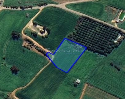 Large Building Plot For Sale in Frenaros Area
