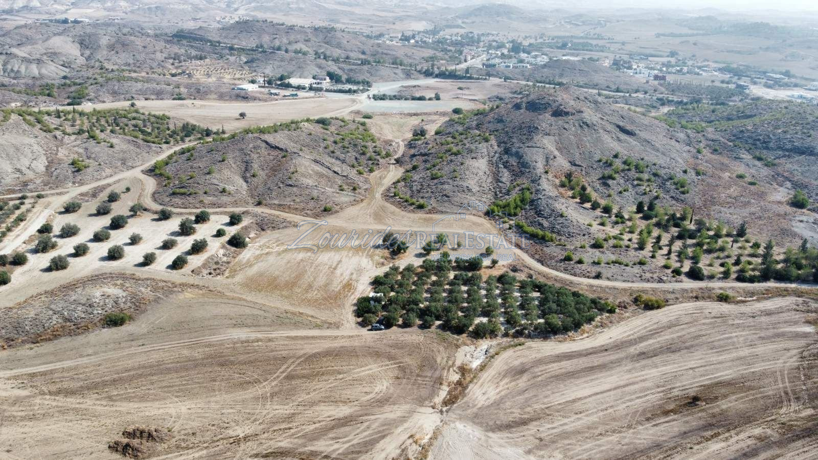 Field in Avdellero, Larnaca