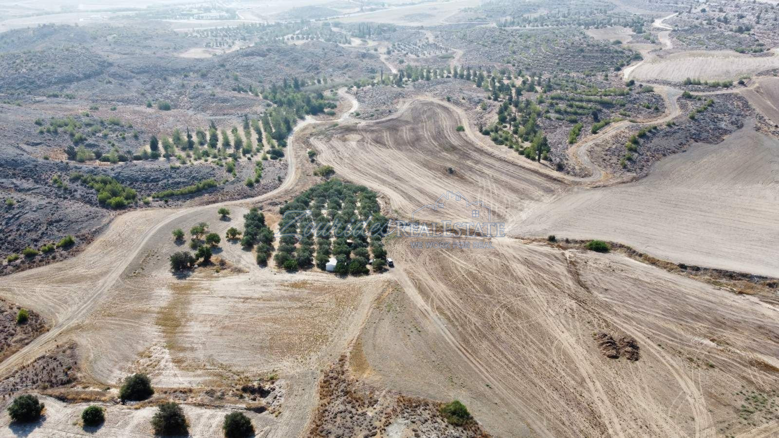 Field in Avdellero, Larnaca