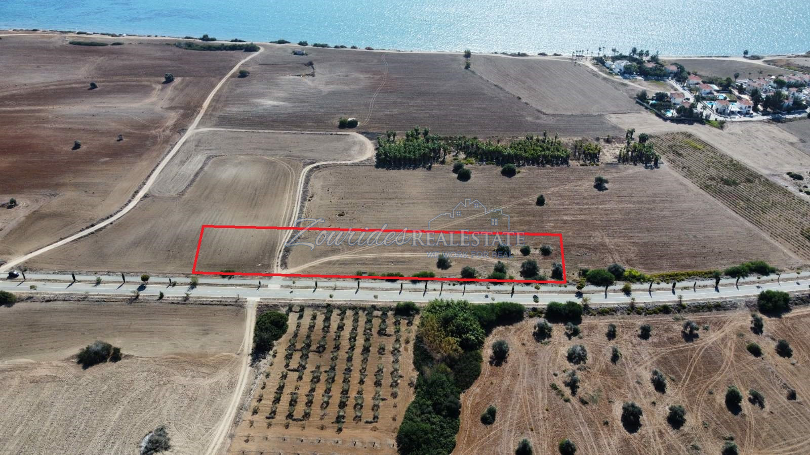 Large Mazotos Sea View Field 5830m2 For Sale