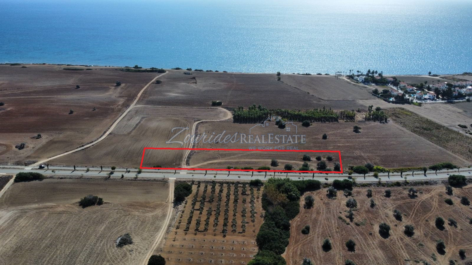 Large Mazotos Sea View Field 5830m2 For Sale