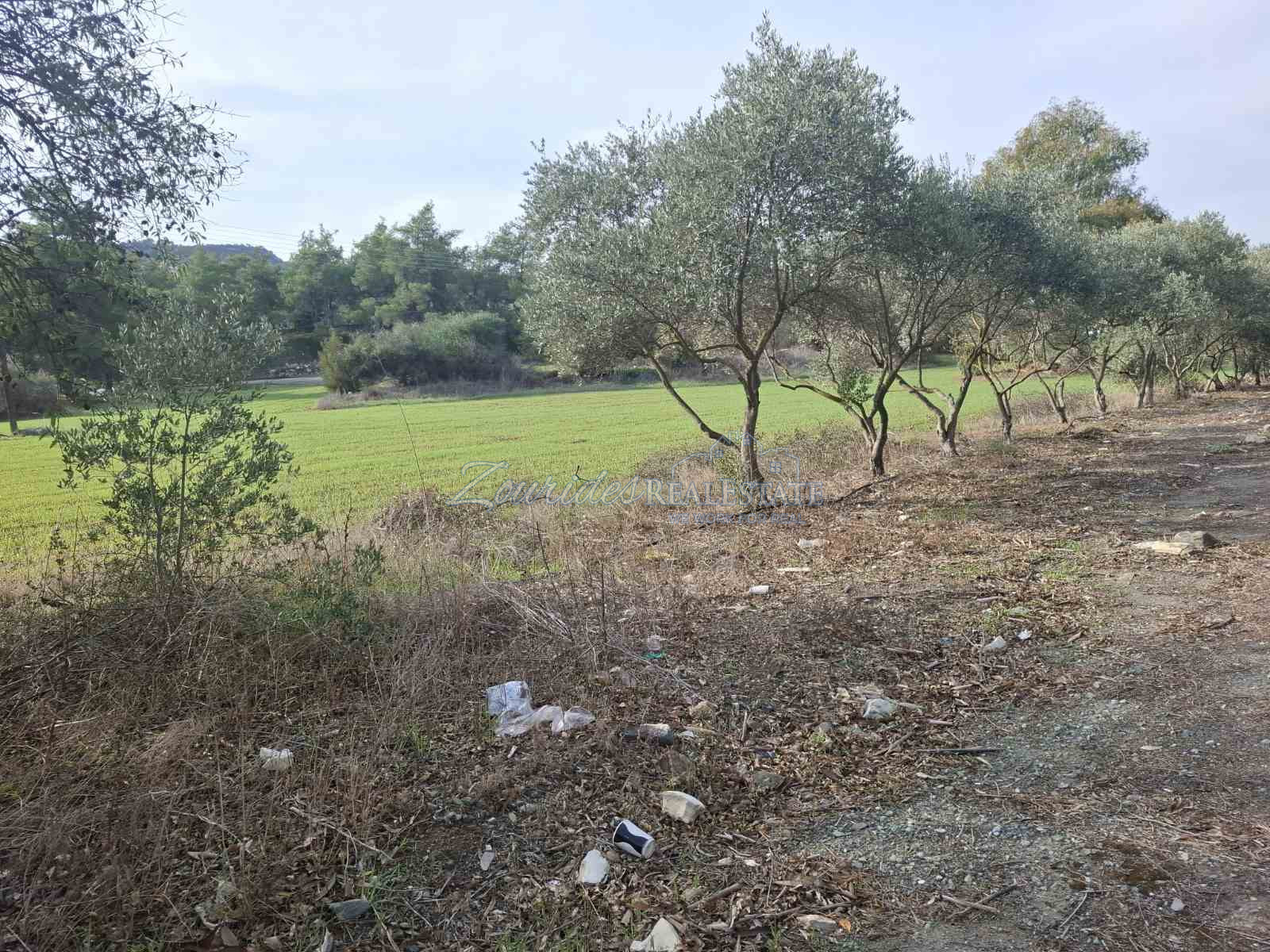 Residential Land in Psevdas