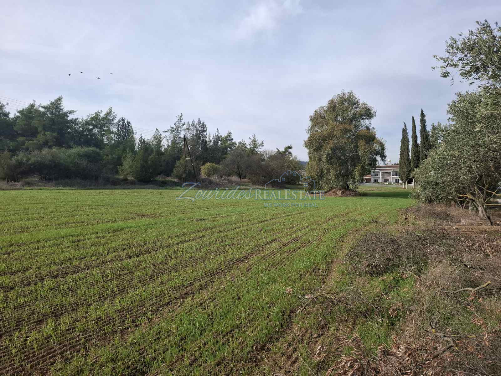 Residential Land in Psevdas