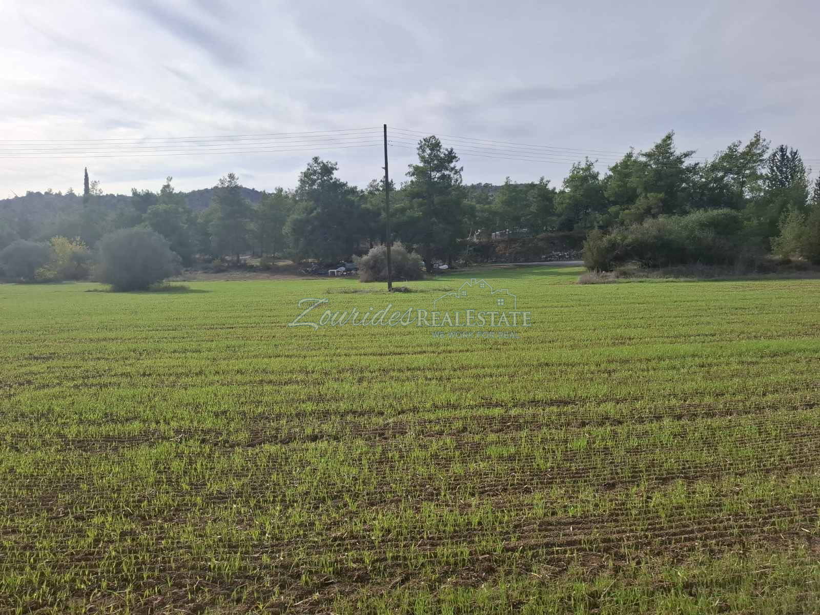 Residential Land in Psevdas