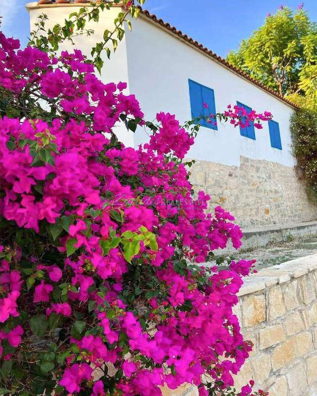 Detached property close to the sea