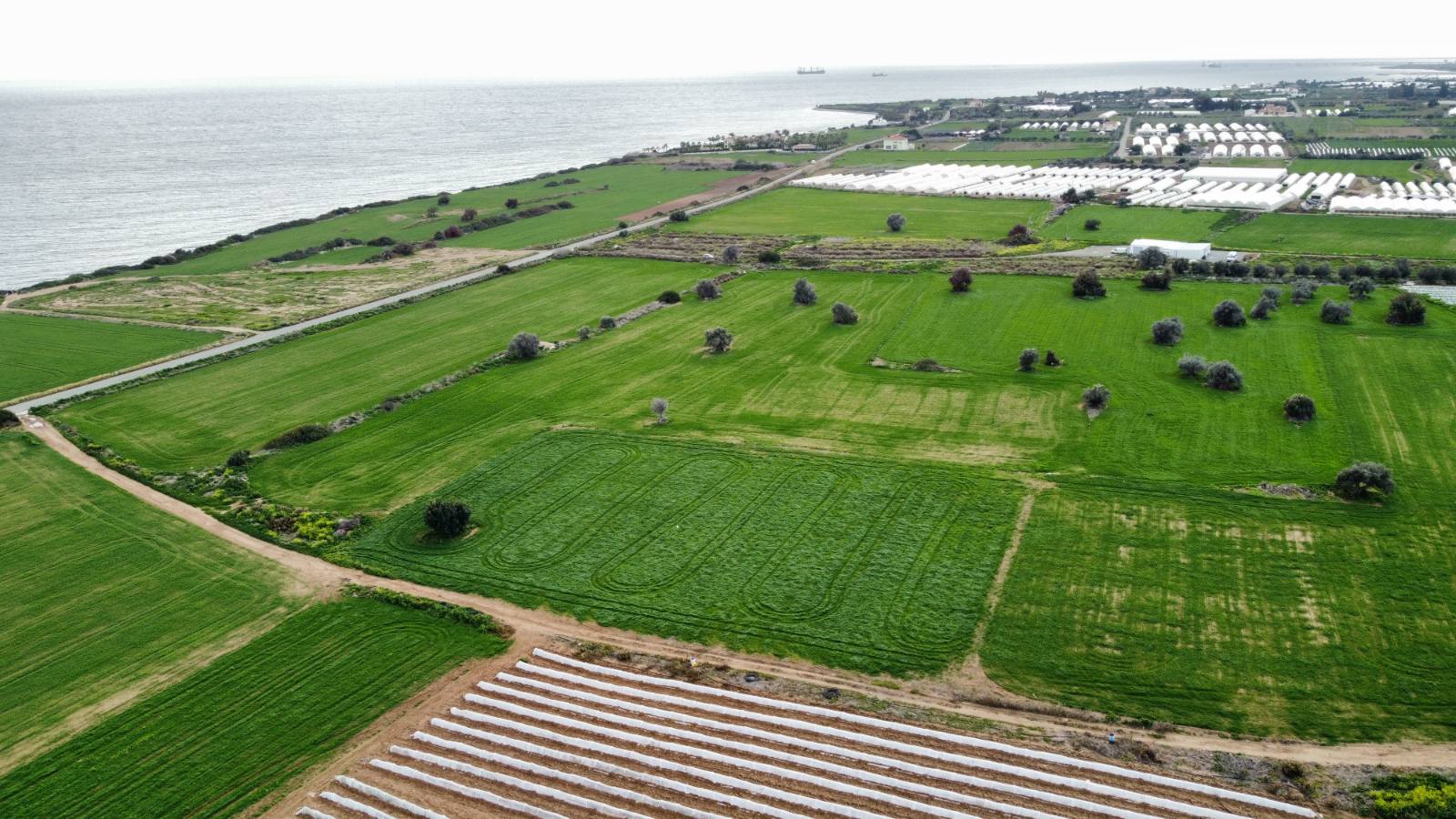 Land in Maroni